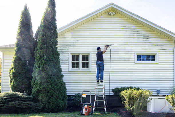 Best Local Pressure Washing Services  in Mvern, AL